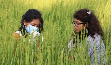 Faculty image for Faculty of Engineering